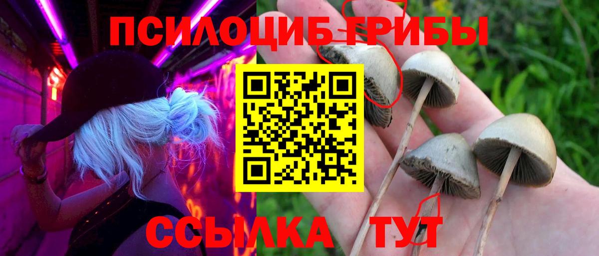 Псилоцибиновые грибы ЛСД Обь