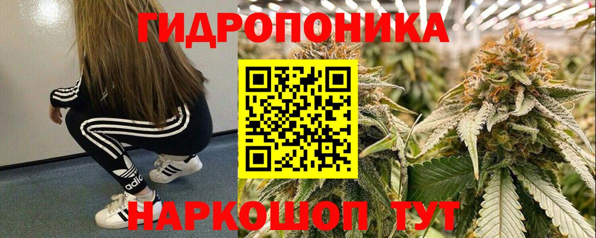 Канабис сатива  МАРИХУАНА OG Kush  Вход с VPN  Каннабис MAZAR  Обь 